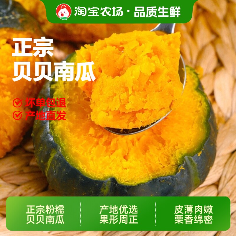 正宗板栗味贝贝小南瓜粉糯香甜宝宝辅食黄金新鲜蔬菜产地直发农场