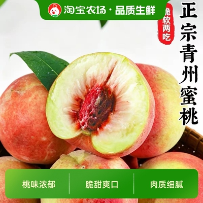 正宗青州蜜桃山东冬桃水蜜桃新鲜水果当季现摘脆蜜离核脆甜桃子