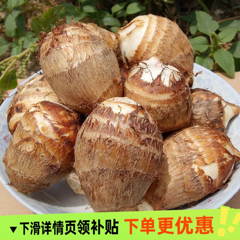 山东农家奶香小芋头蔬菜香滑软糯毛芋艿新鲜整箱香芋当季