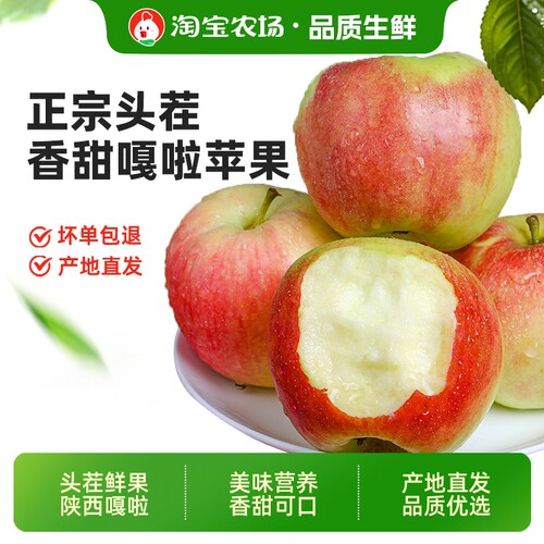 嘎啦苹果2026年头茬陕西新鲜采摘纯甜无酸早熟苹果脆甜优质品种