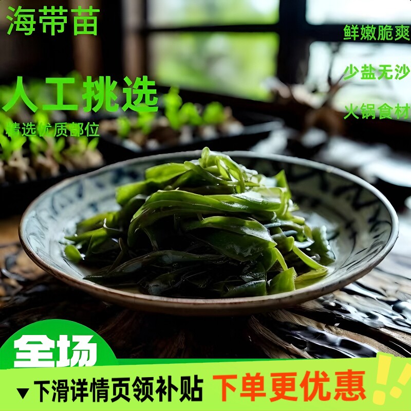 霞浦特产盐渍海带苗嫩海底捞非裙带菜火锅专用商用海带