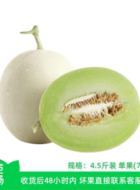 【芭芭农场】山东玉菇甜瓜4.5斤（2-3个装）单果700g