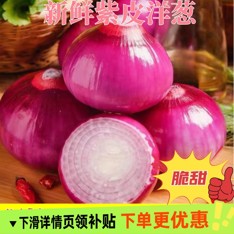 水果洋葱甜味生吃新鲜紫皮洋葱3/5/8/9斤洋葱头小圆葱毛葱红洋葱