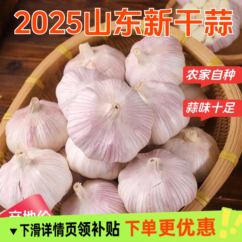 山东金乡紫白皮大蒜头产地价包邮