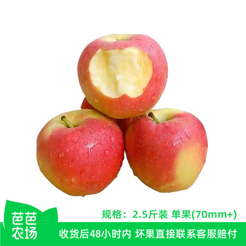【芭芭农场兑换专享】嘎啦苹果2.5斤单果70mm+到货脆甜存储粉面