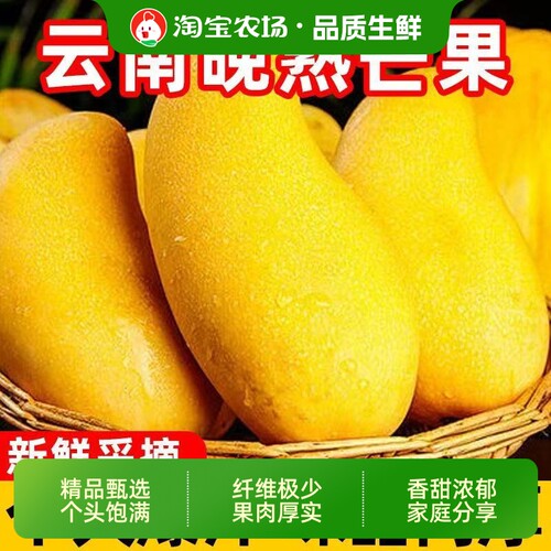 云南黄皮晚熟芒果晚熟芒果9斤新鲜现摘当季热带水果皮薄核小现摘