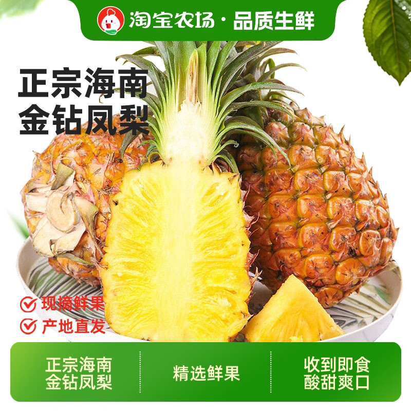 金钻凤梨正宗海南特产新鲜手撕无眼热带水果整箱菠萝现摘农场精选