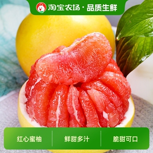 福建琯溪红心密柚净重4.5斤2~3个果