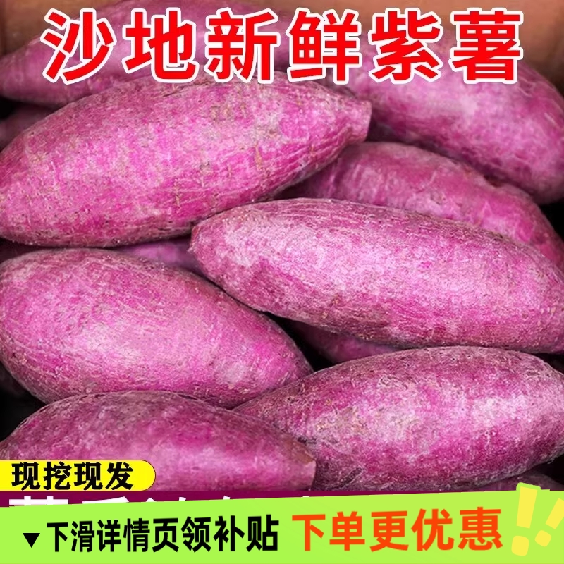 紫薯新鲜沙地紫红薯紫罗兰地瓜当季板栗蜜薯烟薯番薯小香薯包邮