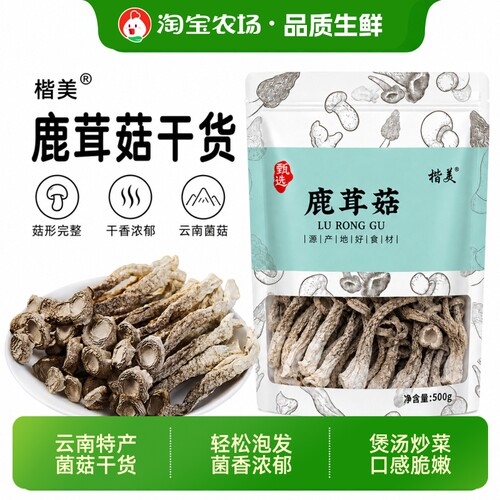 5A鹿茸菇干货非特级鹿茸菌云南特产脆姑蘑菇香菇2件500g长辈礼物