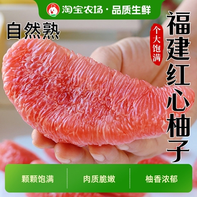 柚子红心柚当季正新鲜水果蜜柚香甜多汁整箱包邮现摘现发