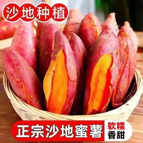 26年现挖沙地红薯软糯蜜薯新鲜番薯农家自种糖心非板栗薯香甜大果