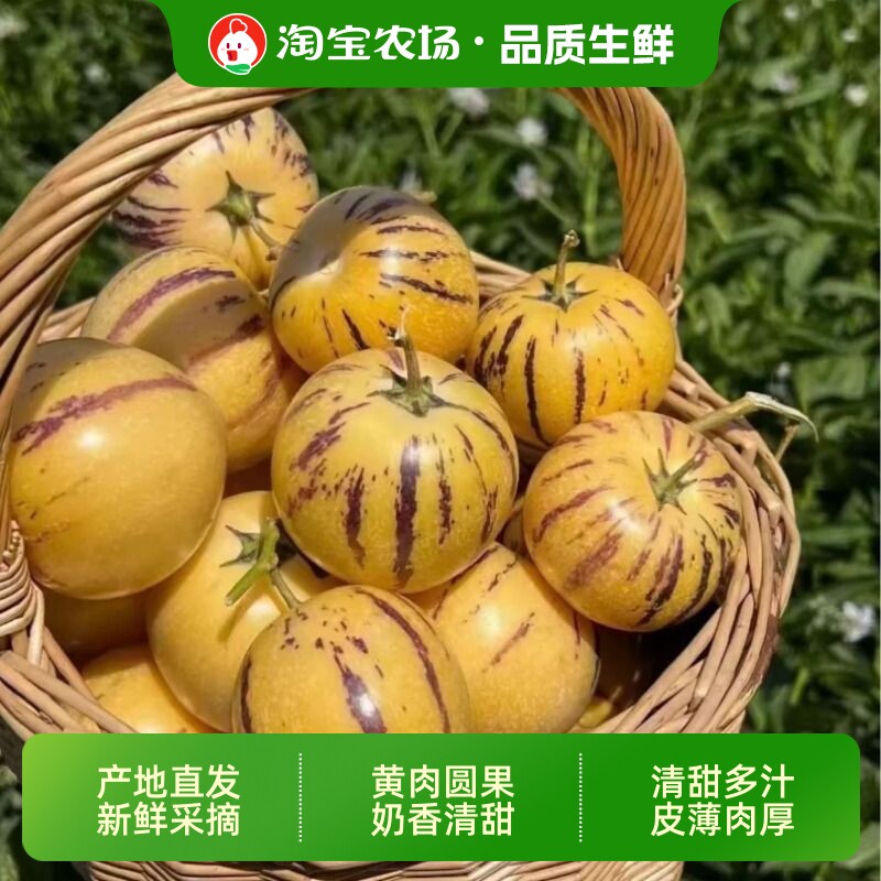 云南石林树上熟人参果人生果水果圆果大果新鲜现摘黄肉黄心果农场