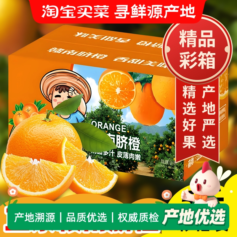 【彩箱装】正宗江西赣南脐橙净重5斤精品彩箱装新鲜水果现摘手剥