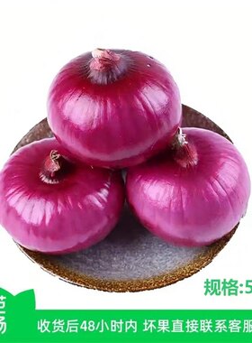 【芭芭农场兑换专享】紫皮洋葱5斤 单果150g+