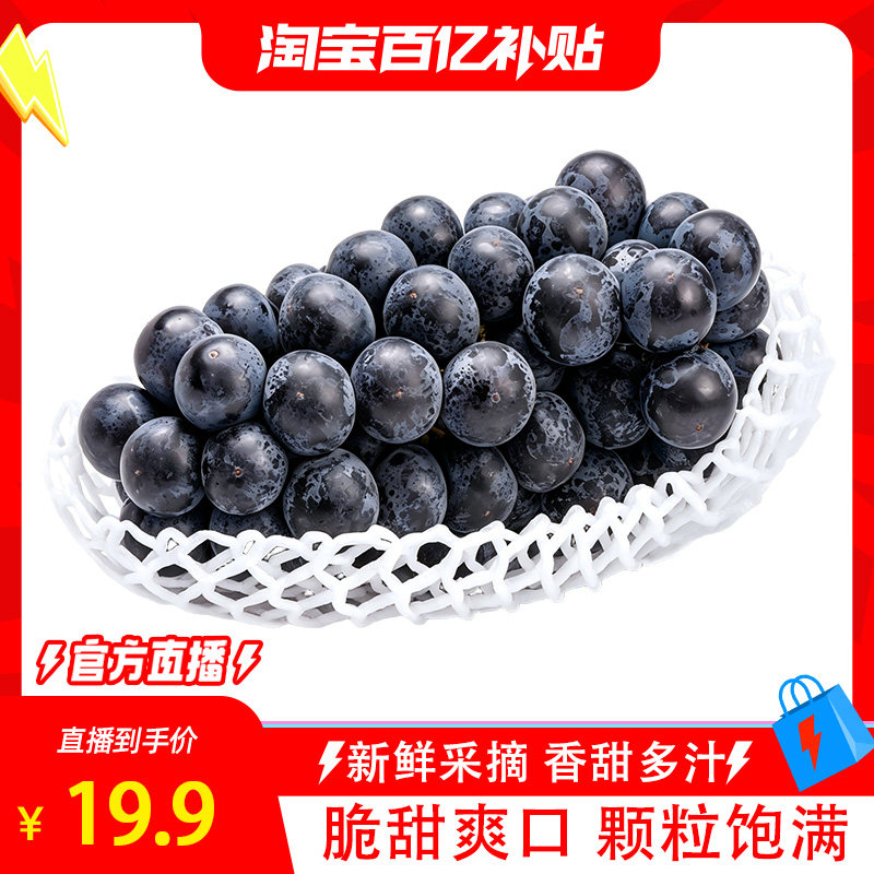 现货云南无籽夏黑葡萄新鲜黑提应季孕妇水果整玫瑰水晶果肉阳光