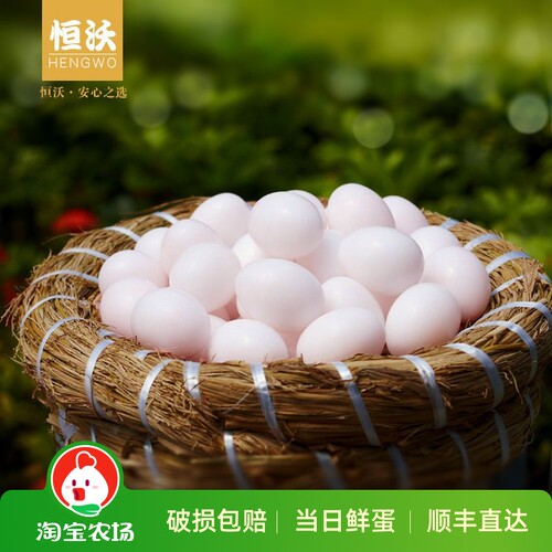 浙江新鲜鸽子恒沃顺丰杂粮
