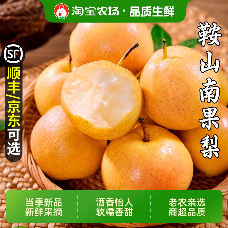 正宗辽宁鞍山南果梨特产东北新鲜水果薄皮产地直发当季农场现摘