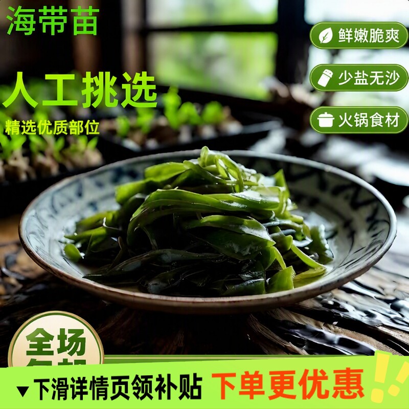 霞浦特产盐渍海带苗嫩海底捞非裙带菜火锅专用商用海带