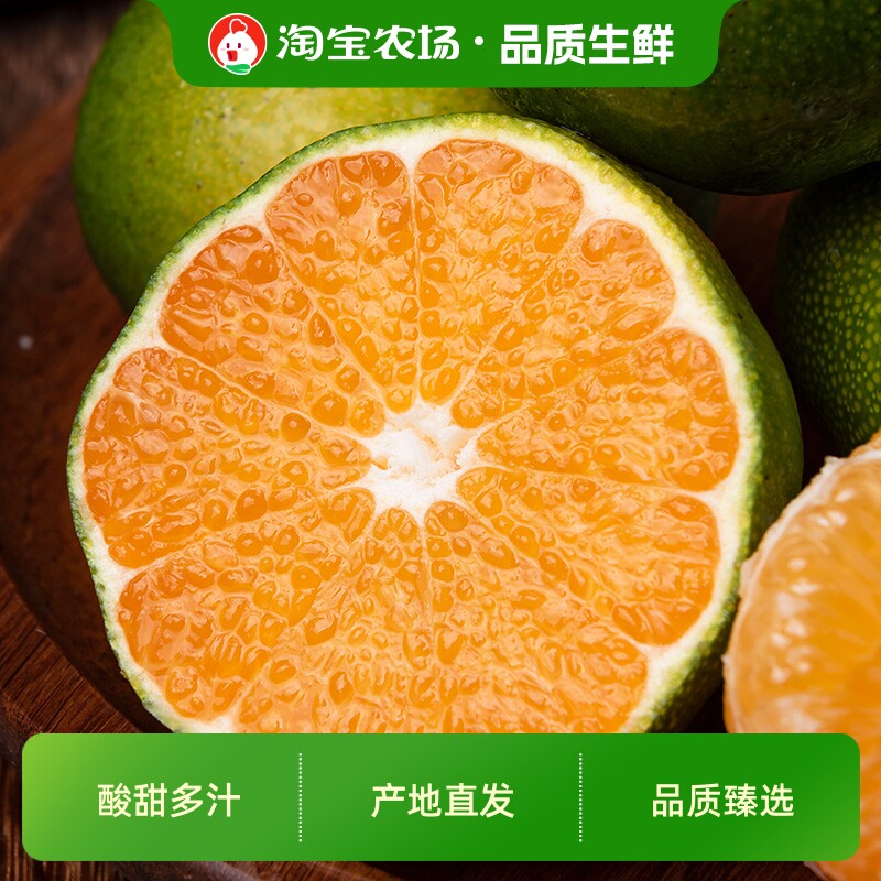 江西寻乌蜜桔4.5斤新鲜现摘多汁产地时令赣州青皮橘子农场自然