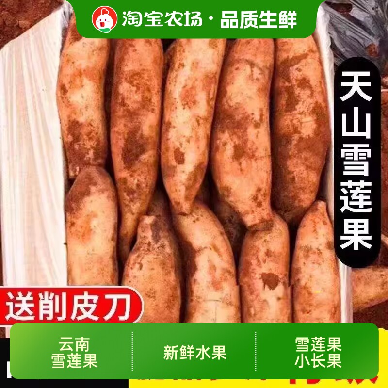 云南正宗天山雪莲果新鲜当季水果雪莲细长果黄心整箱包邮农场食用