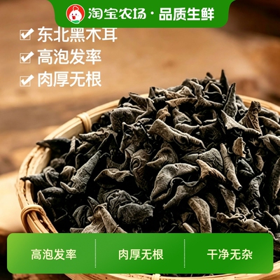 湖心泉东北秋耳黑木耳肉厚