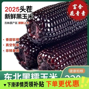 2025年头茬大棒10支新黑糯玉米新鲜现摘真空装包甜糯黏黑玉米代餐