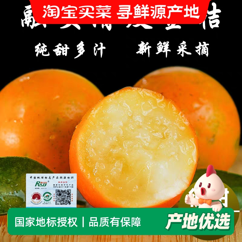 顺丰包邮广西融安脆皮金桔5斤新鲜桔子当季现摘水果纯甜蜜整箱