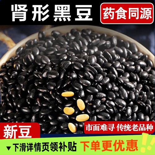 肾形黑豆陕北榆林老品种肾形黄芯农家自种五谷杂粮新货颗粒饱满