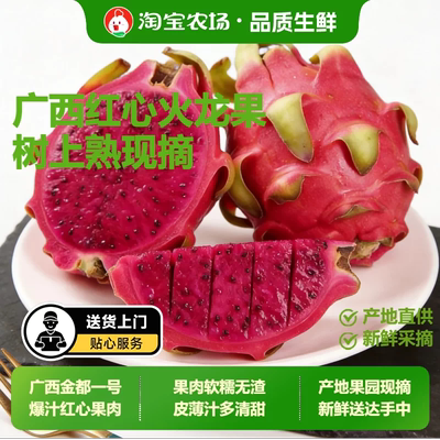 果园发货直供红心火龙果皮薄肉厚
