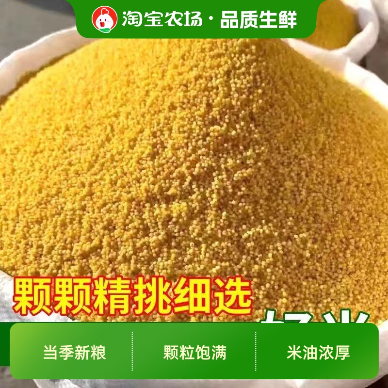 黄小米新米米脂小米糯小米五谷杂粮吃的油小米粥农家小黄米