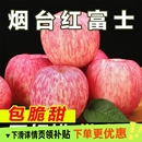 正宗山东烟台红富士苹果新鲜水果脆甜当季 水果整箱优质好果健康