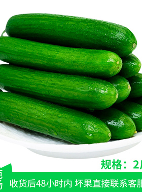 【芭芭农场兑换】水果黄瓜2斤装