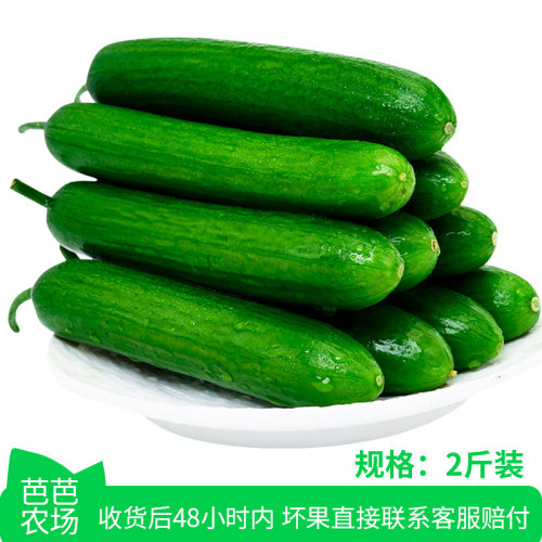 芭芭农场兑换水果黄瓜2斤装新鲜自提现摘凉拌 - 封面