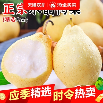 正宗水晶鸭梨新鲜水果时令当季整箱梨子新鲜雪梨鸭梨山东河北10斤
