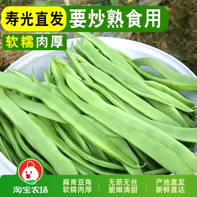 新鲜山东扁青豆角脆嫩清甜直发