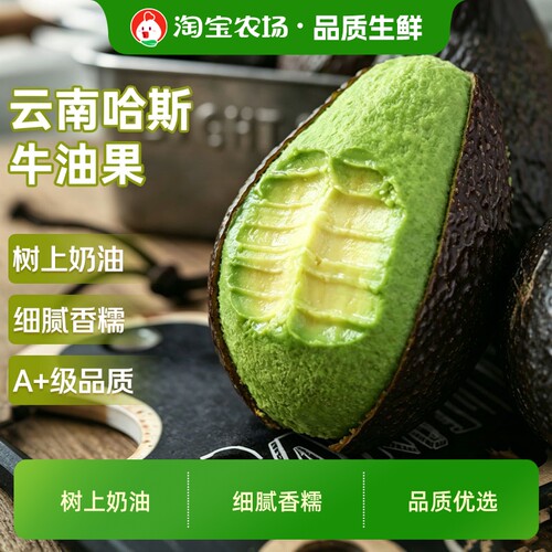 云南哈斯牛油果整箱包邮新鲜水果当季新鲜宝宝辅食孕妇食品