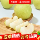 正宗砀山青皮梨苏翠一号皇冠梨当季 新鲜翠冠酥脆整箱脆甜多汁鲜果