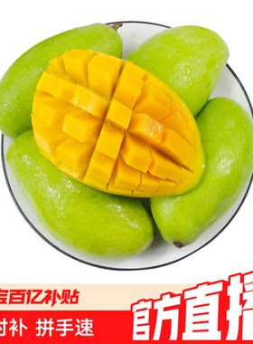 催熟后云南青芒4.5斤当季新鲜应季水果个大肉厚农场现摘香蕉脆甜