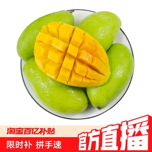 催熟后食用云南青芒4.5斤当季新鲜应季水果个大肉厚甜润农场现摘