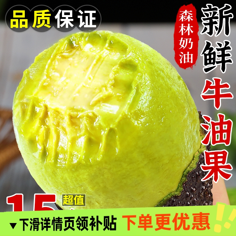牛油果新鲜水果大果当季整箱批发包邮哈斯孕妇进口一级鳄梨