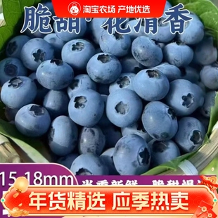 当季新鲜正宗云南高山蓝莓鲜果花香蓝莓果王现摘水果现货顺丰包邮