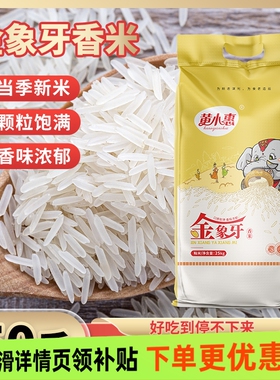 黄小惠金象牙香米50斤袋装家用长粒米籼米现磨现发一级大米25kg