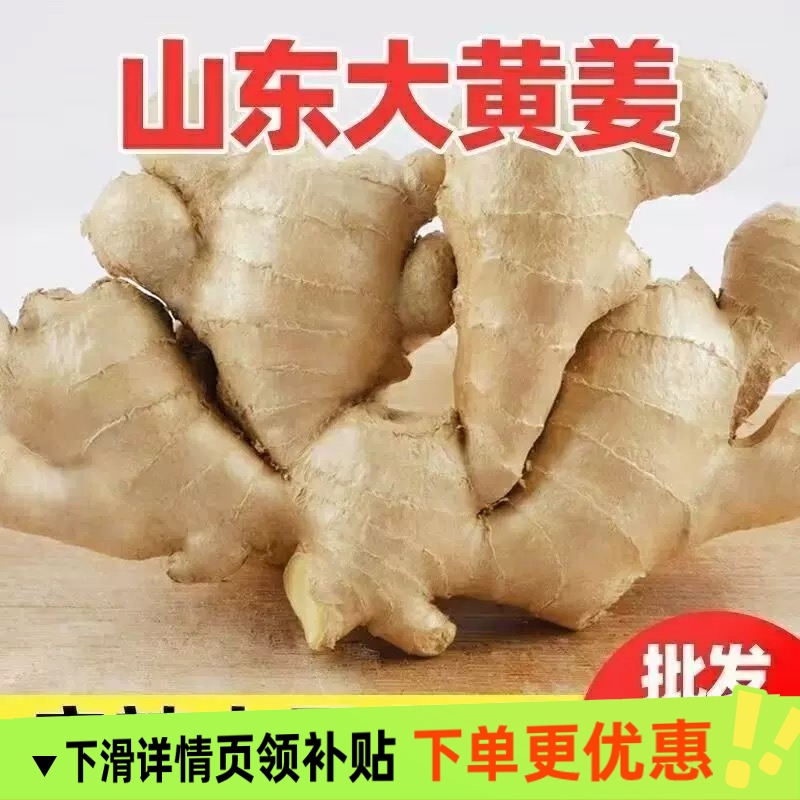 正宗山东风干老姜新鲜风干大姜原生态农家自种老姜月子姜新鲜蔬菜