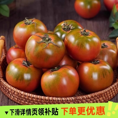 丹东草莓柿子番茄铁皮柿子绿腚新鲜生吃西红柿自然熟正宗顺丰包邮