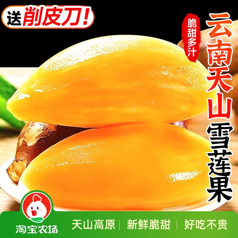 清甜雪莲果云南天山新鲜水果当季现挖脆甜红心黄心9斤农场食用