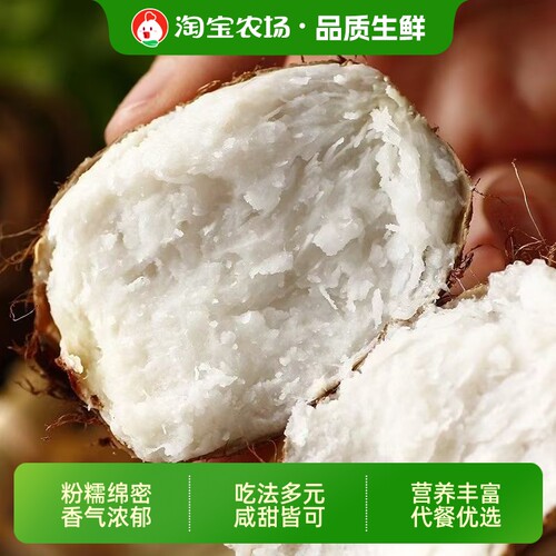 自种小芋艿毛芋头仔软糯香滑拉丝