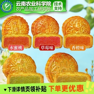 100克水果月餅大個(gè)廣式 傳統(tǒng)糕點(diǎn)心 月餅水果味中秋月餅批發(fā)價(jià)老式