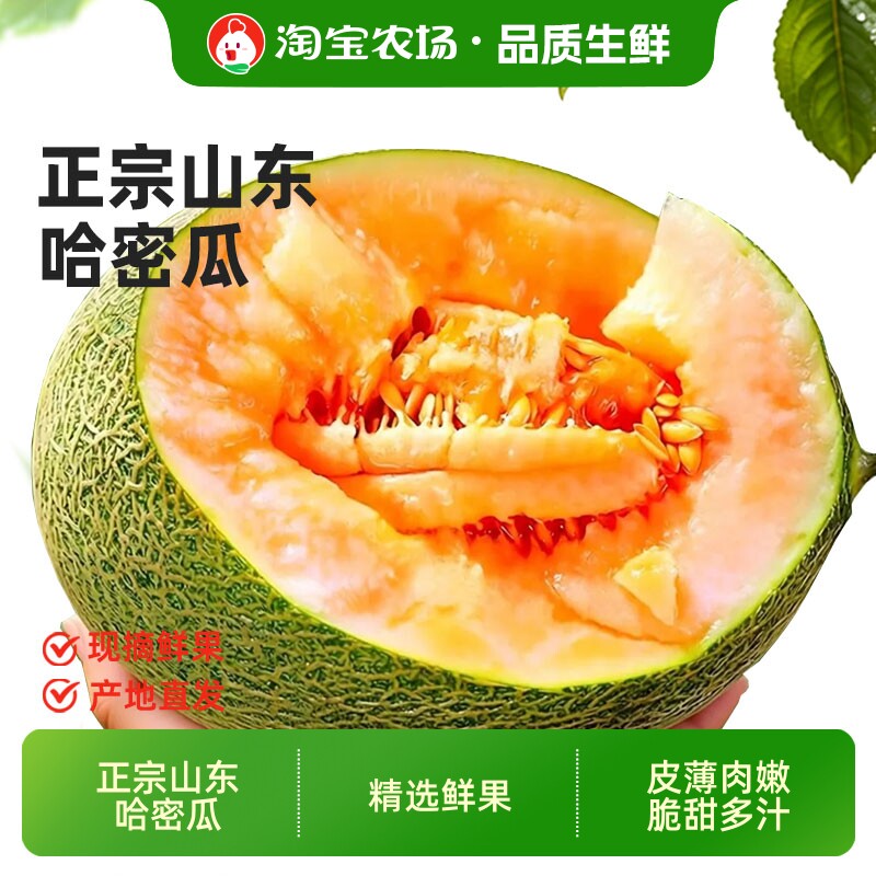 哈密瓜山东特产西州蜜甜瓜当季现摘脆甜皮薄新鲜整箱包邮正宗农场