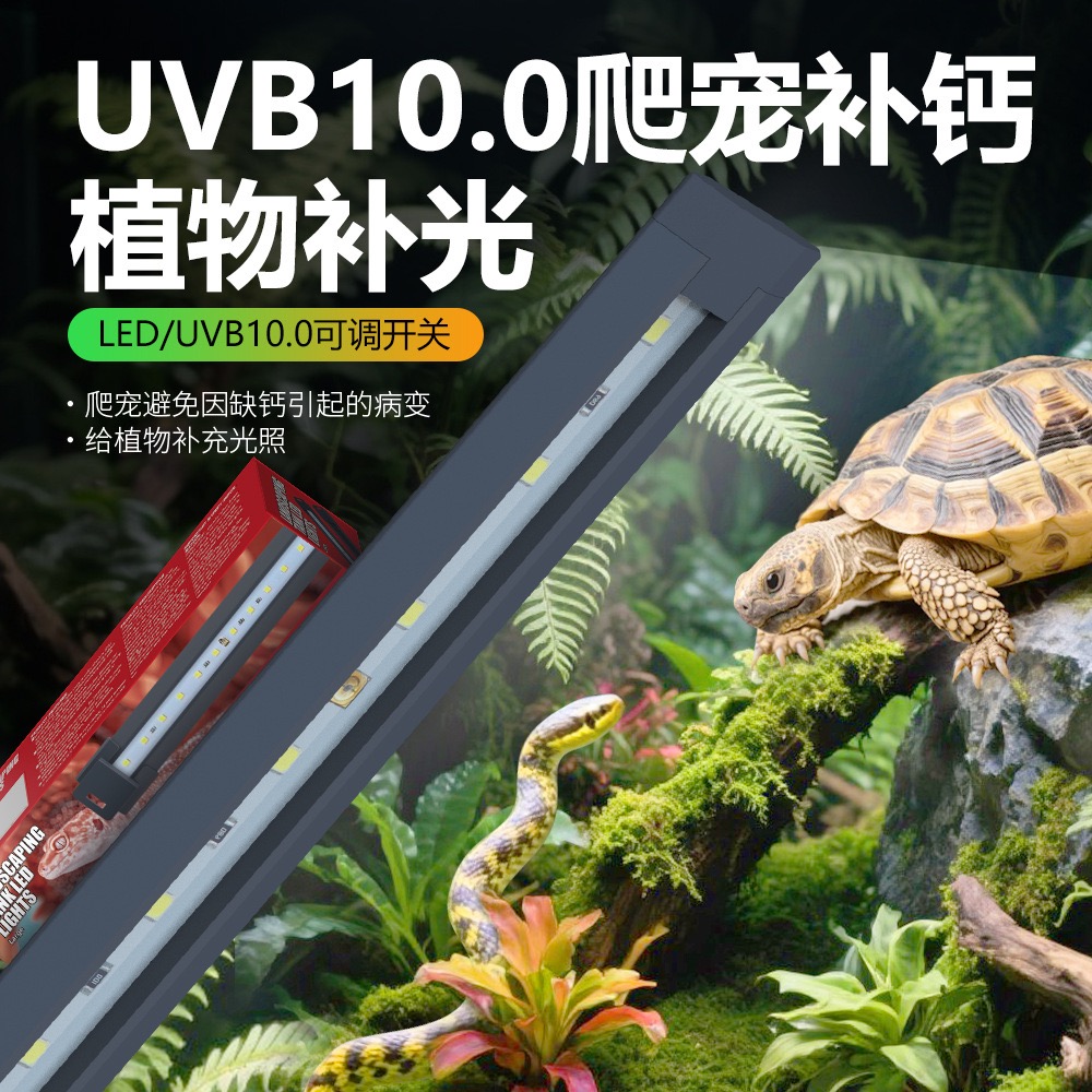 诺摩爬宠可调LED灯乌龟守宫蜥蜴晒背补光保温防烫饲养箱造景